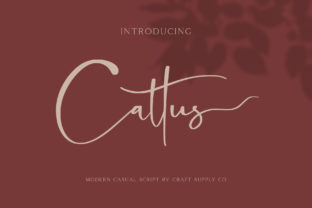 Cattus: The Modern Script Bridging Tradition and Casual Expression