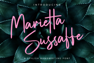 Discover Marietta Sussaffe: A Script with Soul