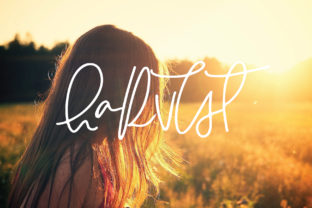 Harvest: A Font that Captures the Feeling of Memory