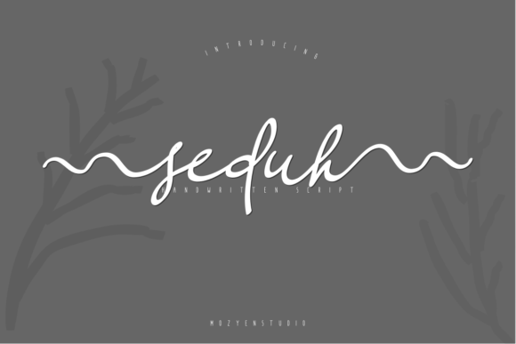 Seduh: A Script Font with Distinctive Swashes for Design Impact