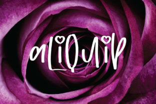 The Artful Confidence of the Aliquip Script Font